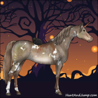 Horse Color:White Spotted Liver Red Dun Brindle 