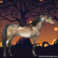 Horse Color:White Spotted Brown Dun 