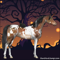 Horse Color:White Spotted Brown Tobiano 