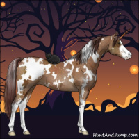 Horse Color:White Spotted Chocolate Buckskin Ice Sabino 