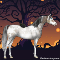 Horse Color:White Spotted Brown Dun Splash Rabicano Brindle