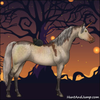 Horse Color:Silver Brown Dun 