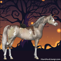 Horse Color:White Spotted Silver Brown Dun Splash 