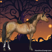 Horse Color:Buckskin Dun Tobiano Brindle