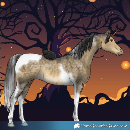 Horse Color:Buckskin Ice Dun Mushroom Tobiano 
