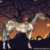 Horse Color:White Spotted Brown Dun Brindle 