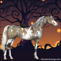 Horse Color:White Spotted Liver Red Dun Mushroom Sabino 