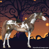 Horse Color:White Spotted Liver Chestnut Sabino 