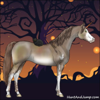 Horse Color:Liver Red Dun Sabino 