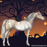 Horse Color:White Spotted Silver Brown Ice Pearl Dun Sabino Rabicano Brindle 
