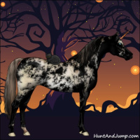 Horse Color:Void Liver Red Dun Pearl Sabino 