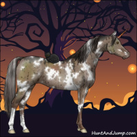 Horse Color:White Spotted Liver Red Dun Sabino Brindle 