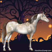 Horse Color:White Spotted Brown Ice Pearl Dun Mushroom Sabino Brindle 