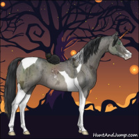 Horse Color:Grullo Ice Mushroom Sabino Tobiano Brindle 