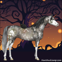Horse Color:Grullo Mushroom Sabino Brindle 