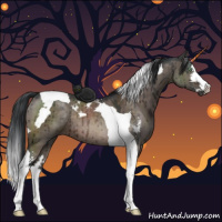 Horse Color:Brown Dun Mushroom Sabino Tobiano Brindle 
