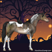 Horse Color:Gray Brown Dun Sabino Tobiano Brindle 