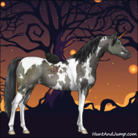 Horse Color:White Spotted Grullo Tobiano Brindle 