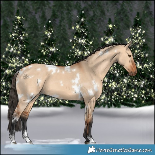 Horse Color:White Spotted Bay Dun 