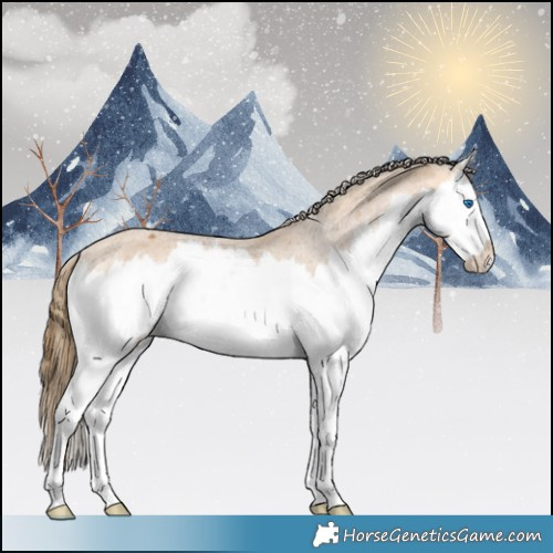 Horse Color:Buckskin Splash Appaloosa Rabicano 