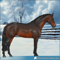 Horse Color:Brown Rabicano 