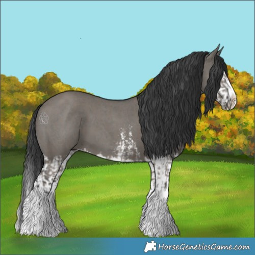 Horse Color:Grullo Sabino Splash  and Grullo Sabino Splash 