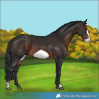 Horse Color:Brown Frame