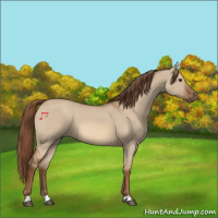 Horse Color:Red Dun 