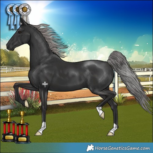 Horse Color:Platinum Liver Chestnut 