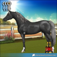 Horse Color:Platinum Liver Chestnut