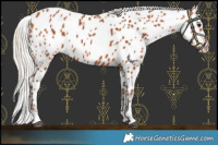 Horse Color:Silver Bay Near Leopard 