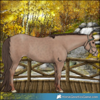 Horse Color:Classic Champagne 