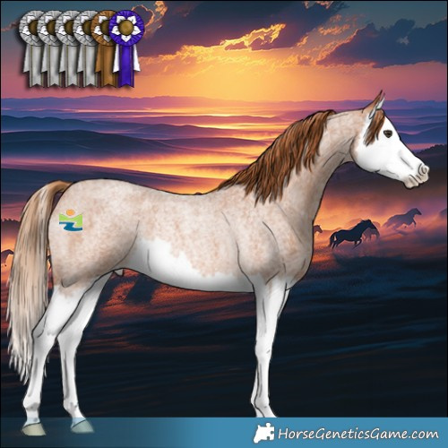 Horse Color:Red Roan Splash Rabicano 