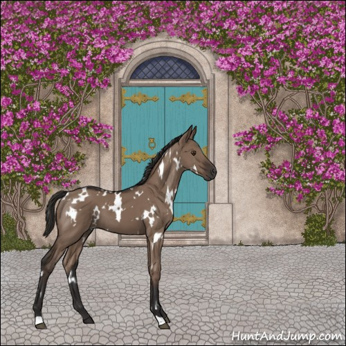 Horse Color:White Spotted Liver Red Dun 