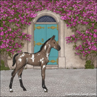 Horse Color:White Spotted Liver Red Dun 