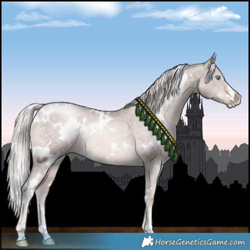 Horse Color:Platinum White Spotted Chocolate Palomino Pearl 