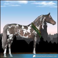 Horse Color:Platinum White Spotted Liver Chestnut 