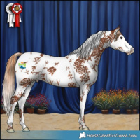 Horse Color:Chestnut Splash Tobiano