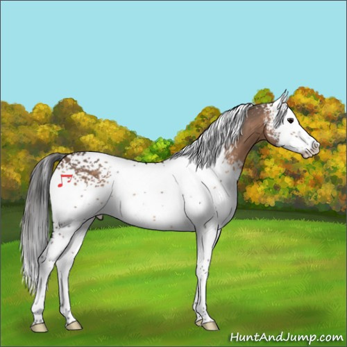 Horse Color:White Spotted Brown Dun Splash 