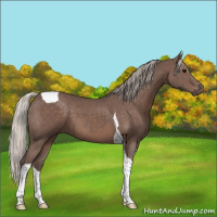 Horse Color:Silver Black Tobiano
