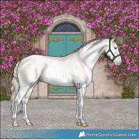 Horse Color:Chocolate Palomino Roan Pearl Dun Sabino Splash 