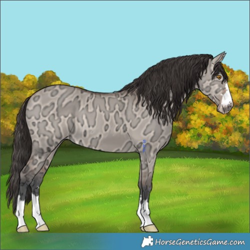 Horse Color:Bay Ice Dun Mushroom 