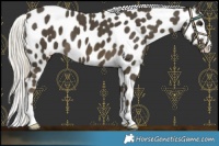 Horse Color:Silver Smoky Black Near Leopard 
