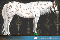 Horse Color:Chocolate Palomino Near Leopard 