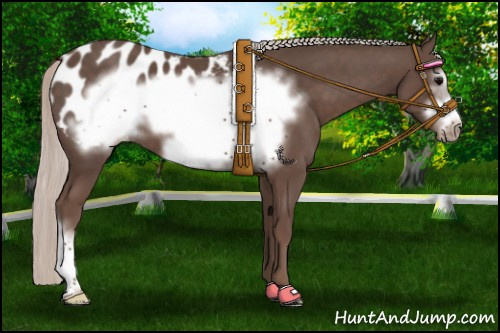 Horse Color:Silver Black Frame Appaloosa 