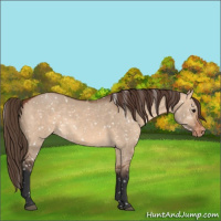 Horse Color:Bay Dun Snowflake Varnish 