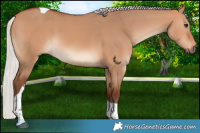 Horse Color:Silver Bay Dun Tobiano 