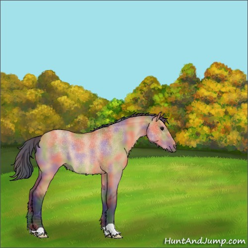 Horse Color:Nacre Bay Dun Rabicano 