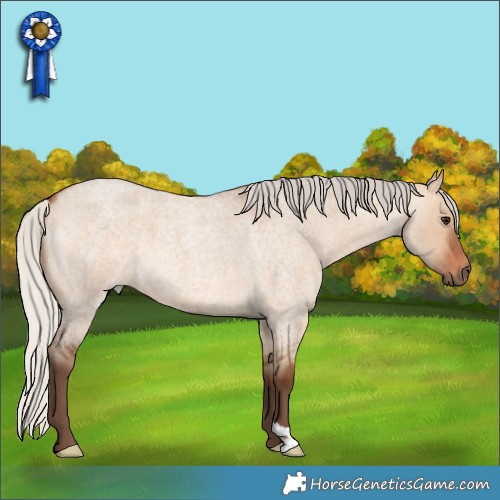Horse Color:Silver Bay Roan Dun 