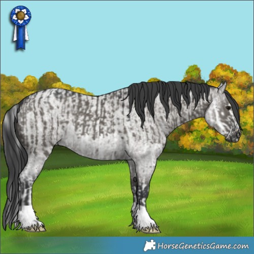 Horse Color:Grullo Splash  and Grullo Roan 